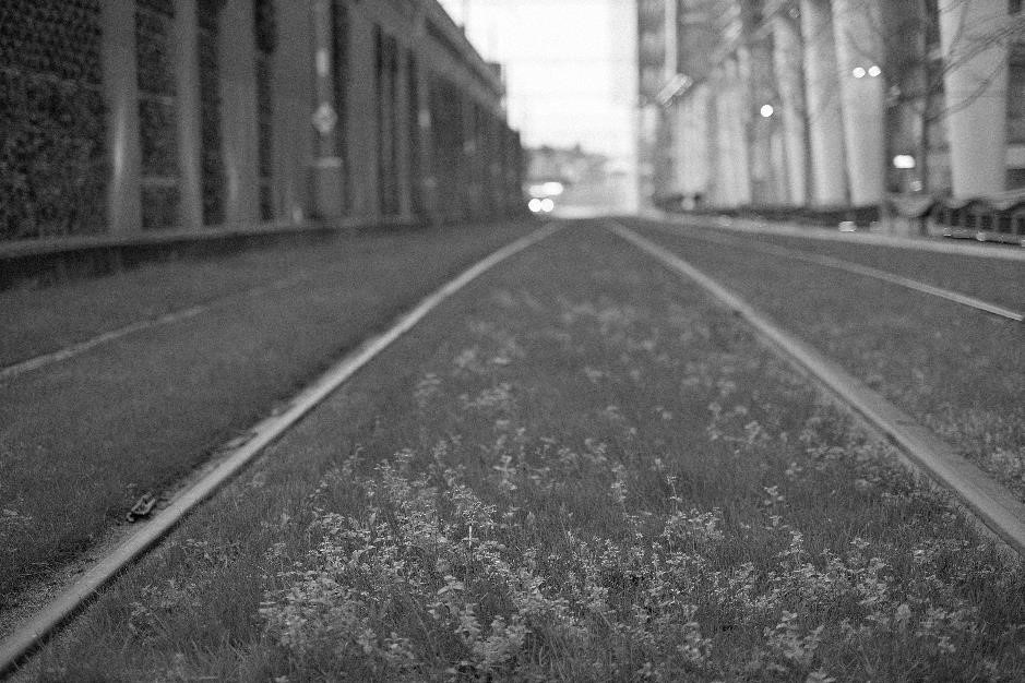 Featured Image 20