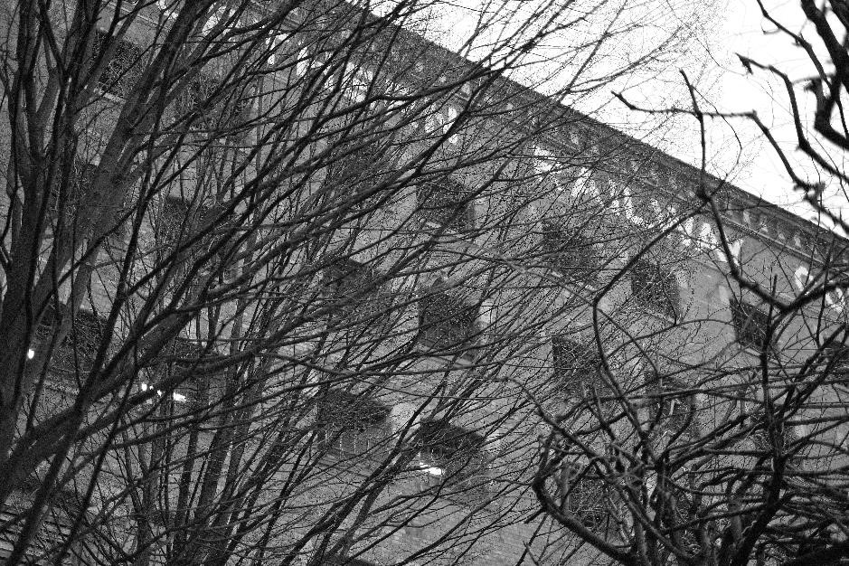 Featured Image 23