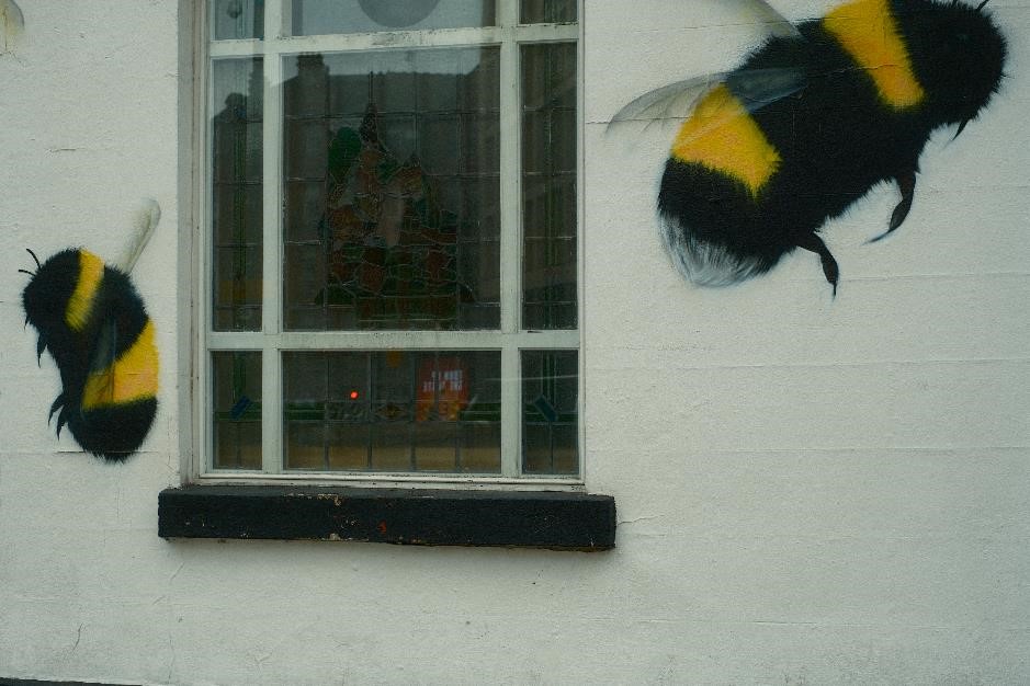 Featured Image 24