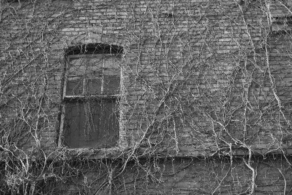 Featured Image 37
